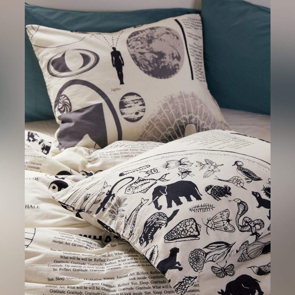 Daylight Pillow Sham Set